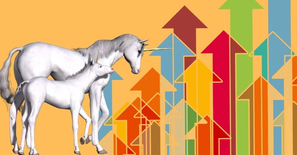 startups unicornios efund investimentos